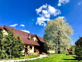 Фото Отели типа «постель и завтрак» Casa Galbena г. Arbore